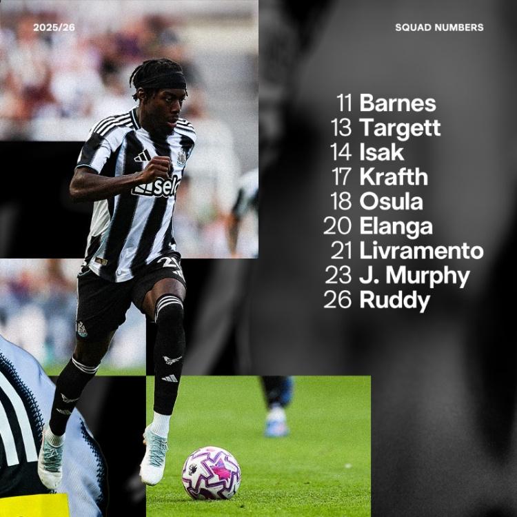 刘易斯, vqll, ku 刘易斯, vqll, ku