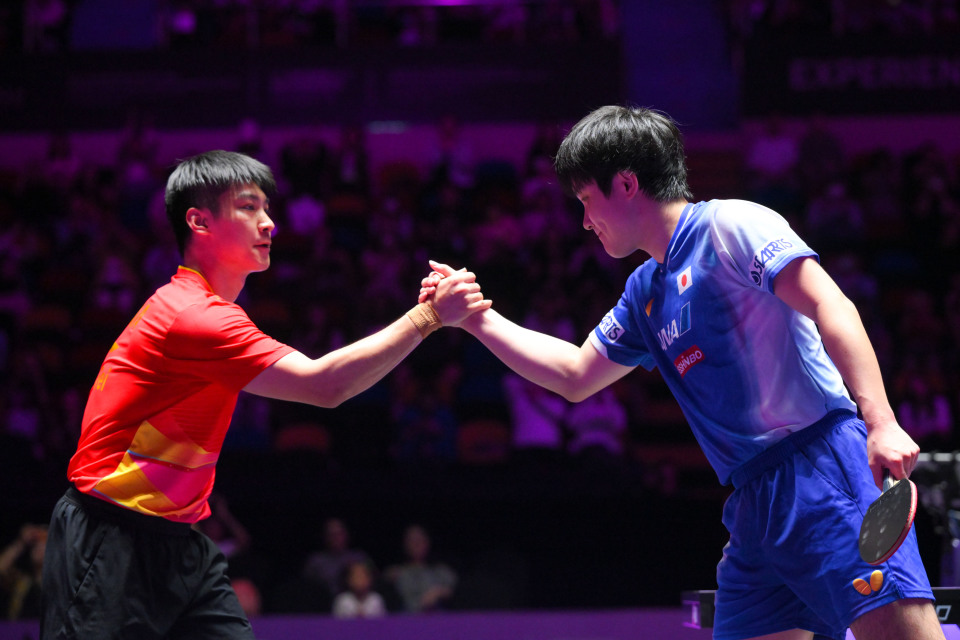 薛飞在比赛, 张本智和在